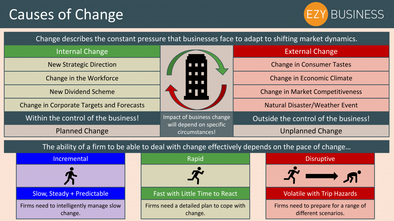 Business Studies Year 13 revision Day 11 - Causes of change