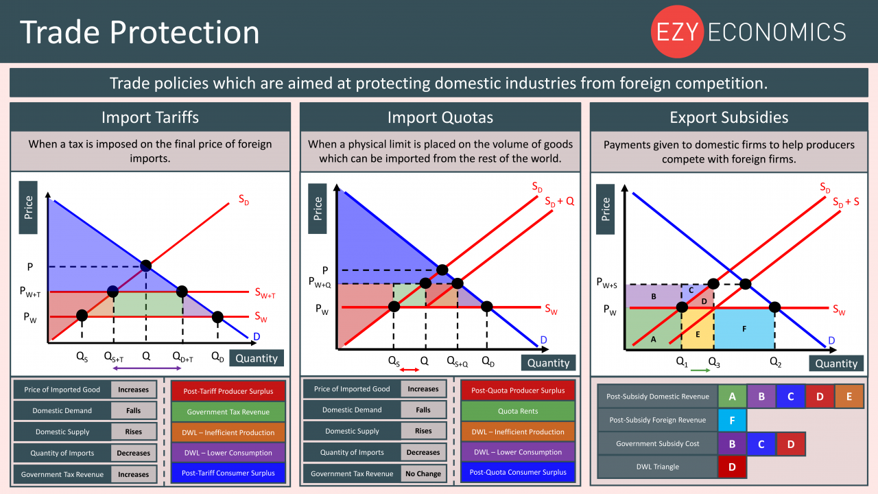 Economics Year 13 revision Day 25 - Trade Protection
